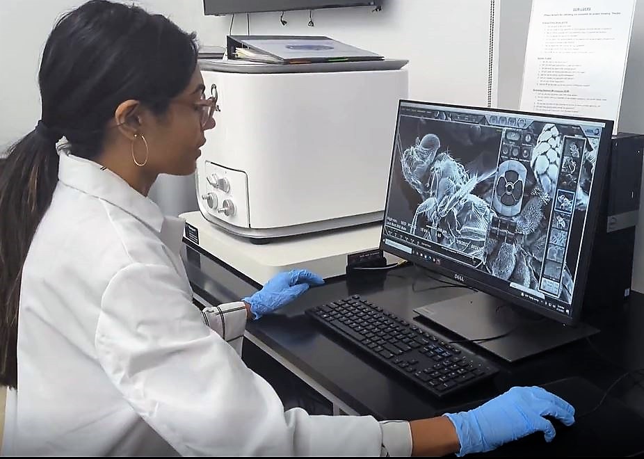 Suiting Up with NanoSuit for Imaging in the SEM